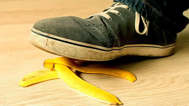Warum Bananen etwas mit dem Sinn des Lebens zu tun haben